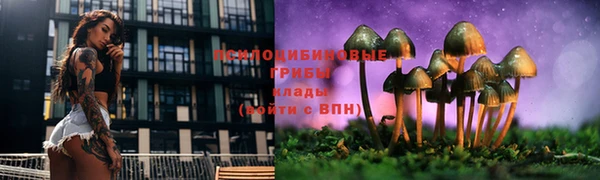спайс Белоозёрский
